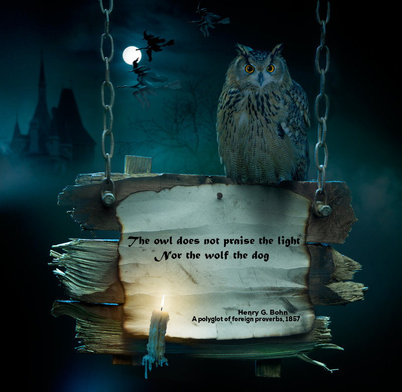 "The owl does not praise the light, nor the wolf the dog" Quote from Henry G Bohn (A polyglot of foreign proverbs -1857)